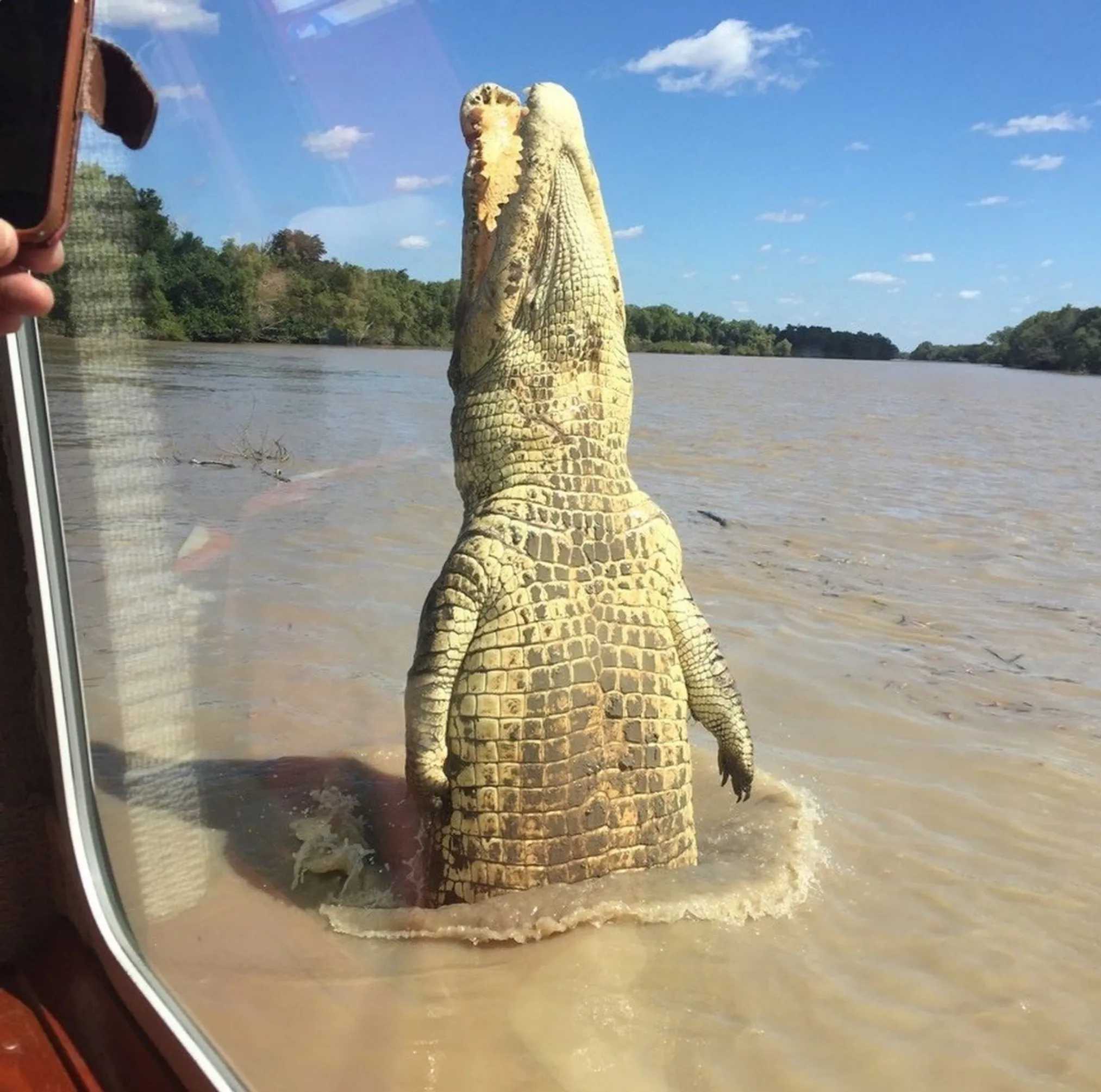 are jumping crocodile cruises safe