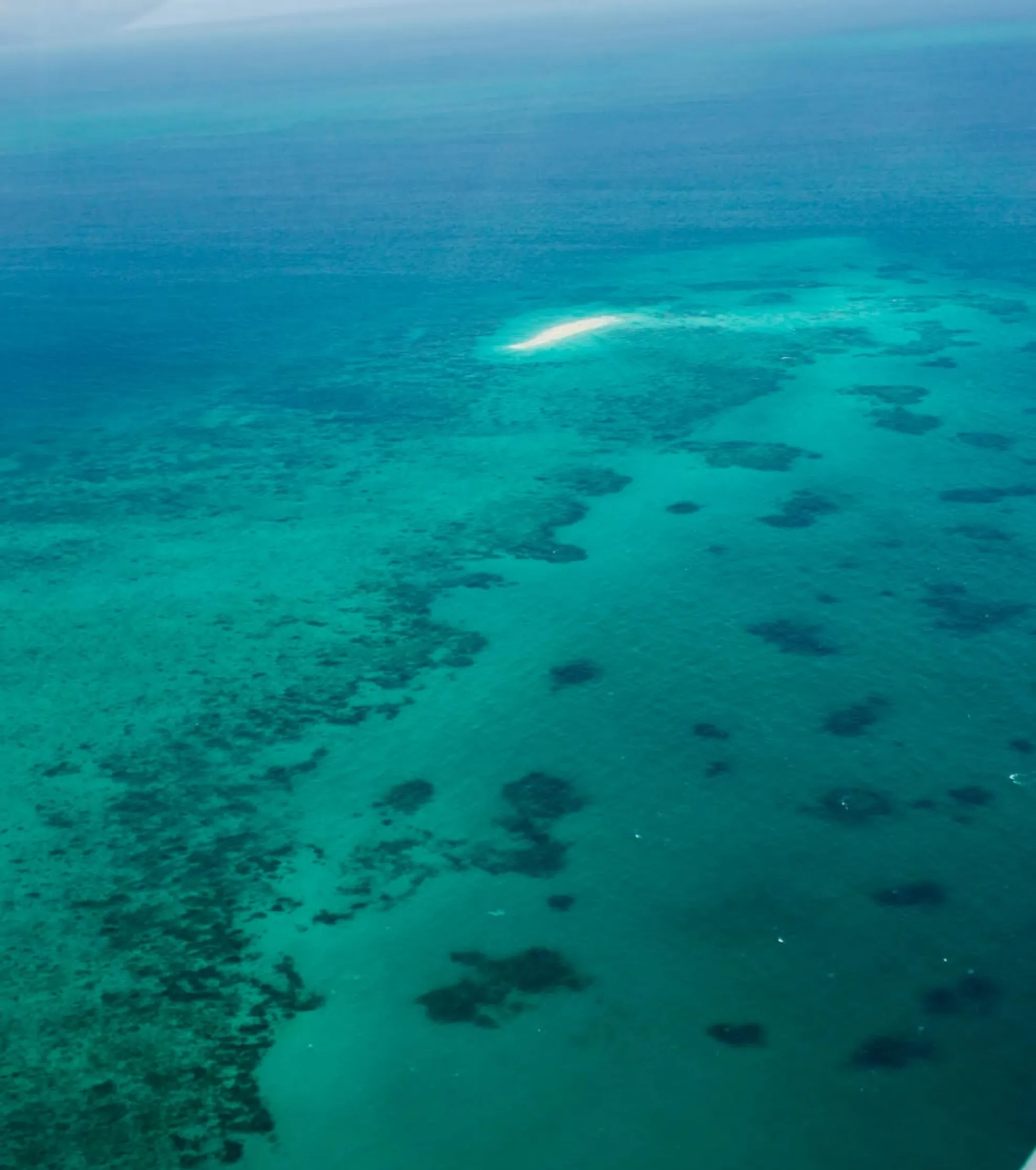 best Great Barrier Reef tour for first-time snorkellers