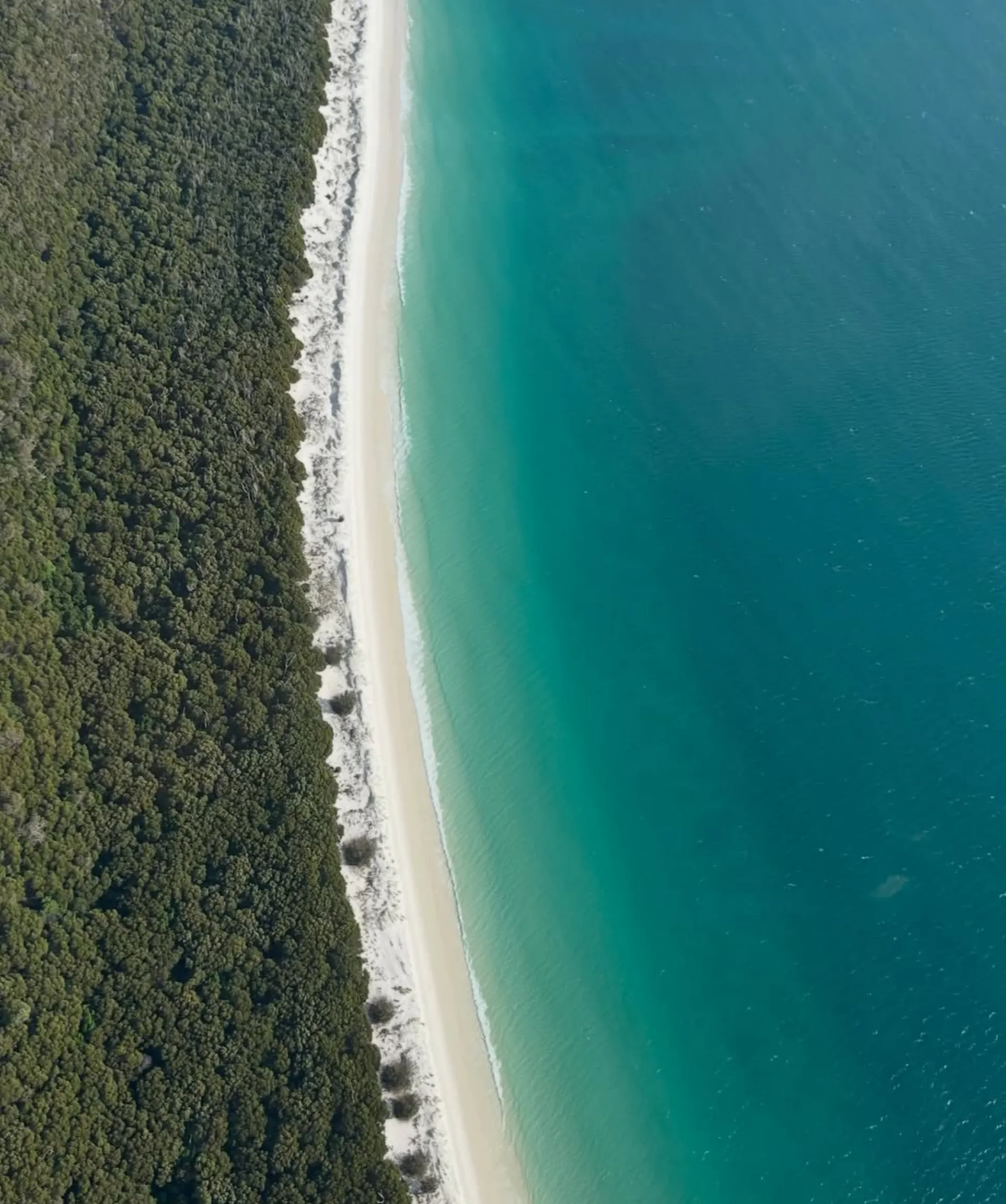 best Great Barrier Reef tour for young children