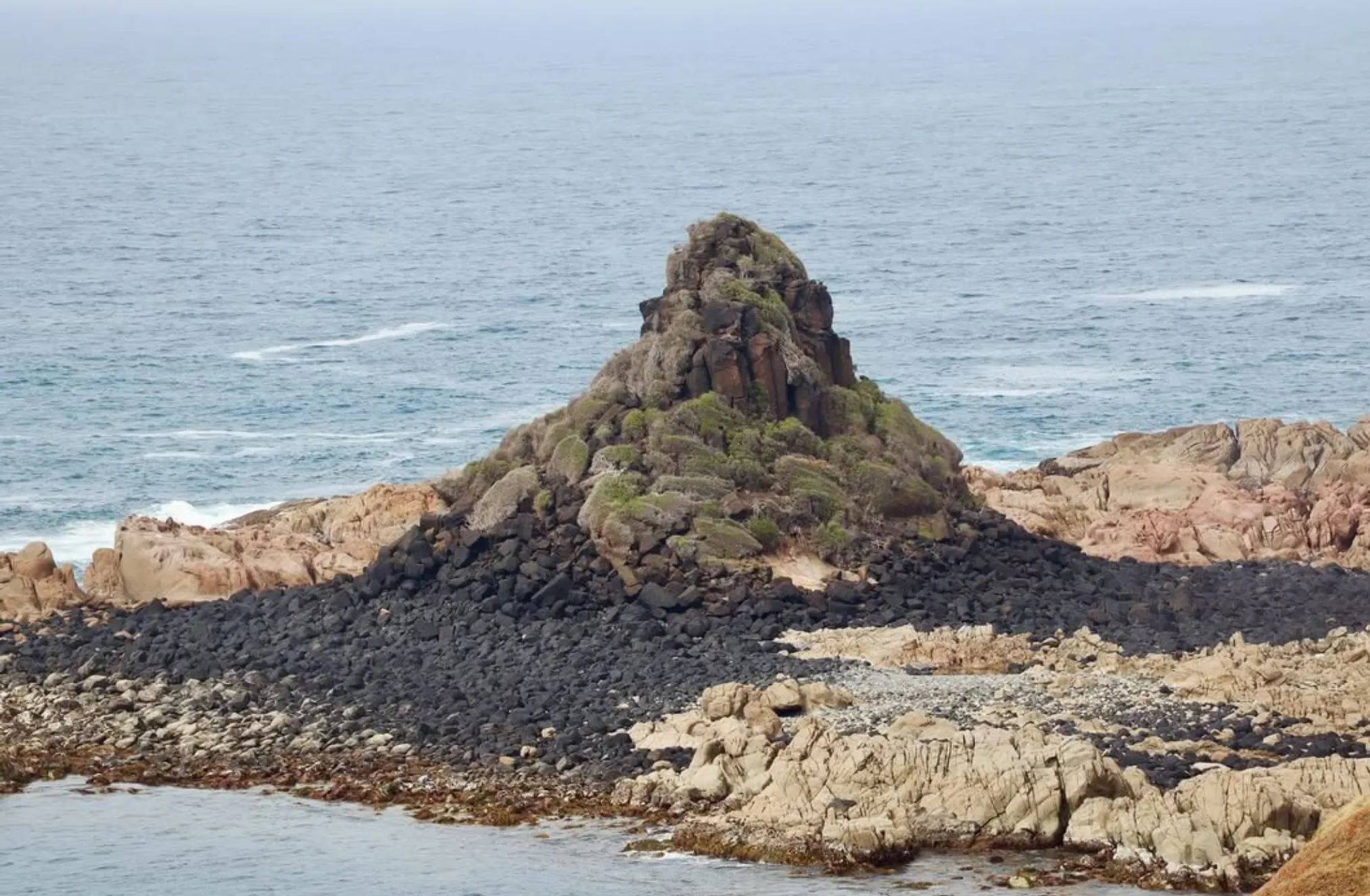 best Phillip Island tour for non drivers