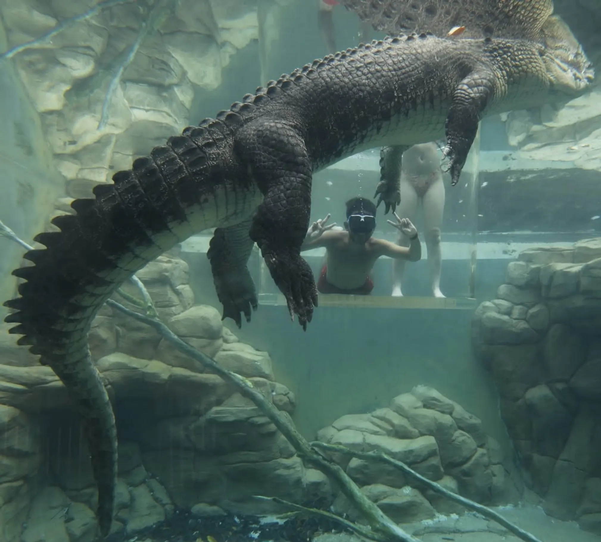 best crocodile experience in Darwin 2026