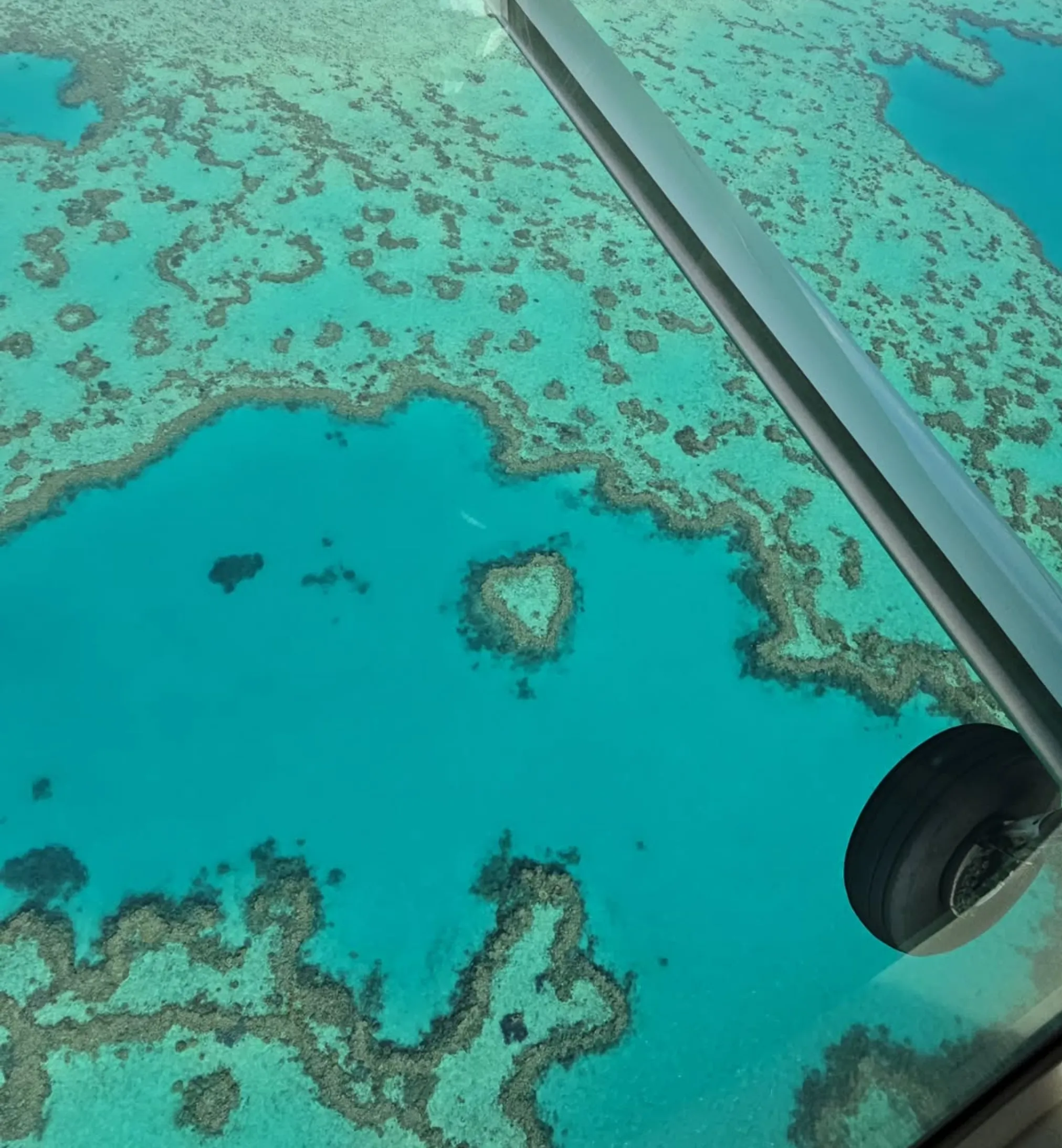 best reef pontoon for kids Cairns