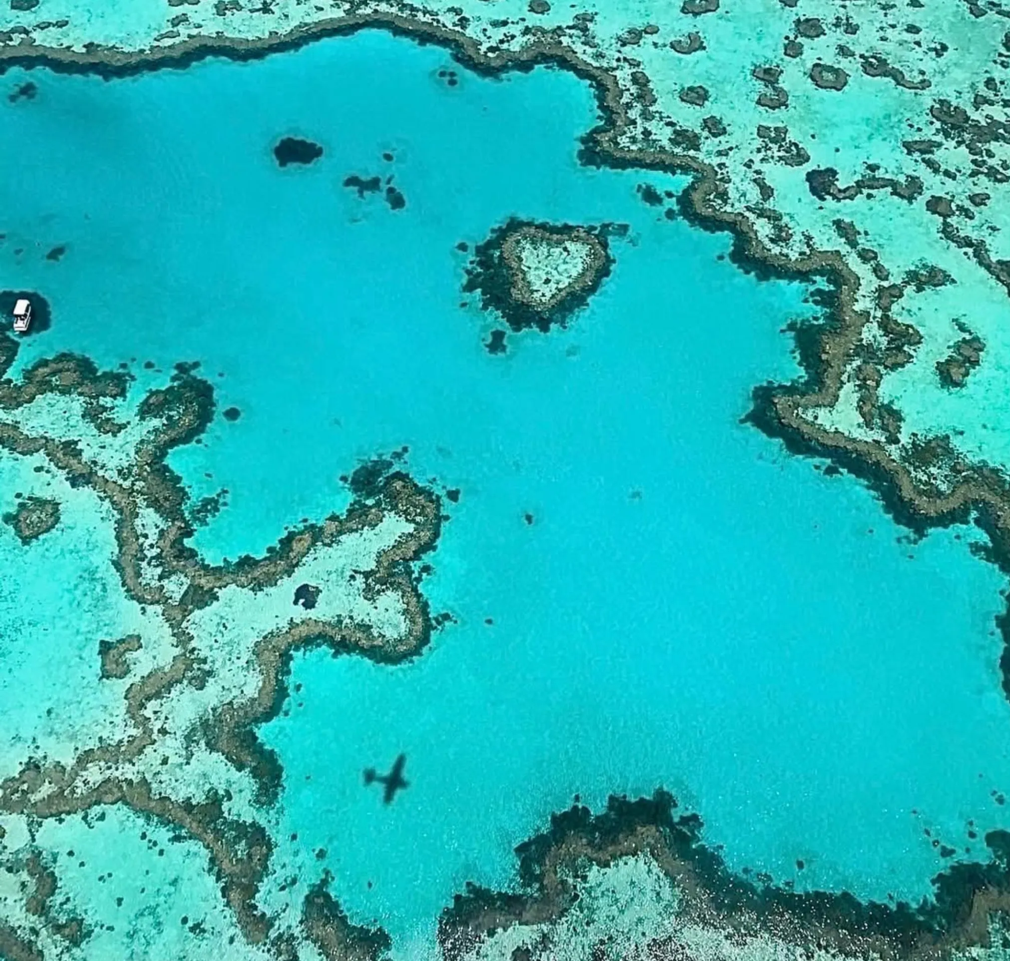 cheap vs premium Great Barrier Reef tours