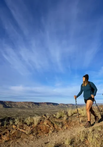 larapinta