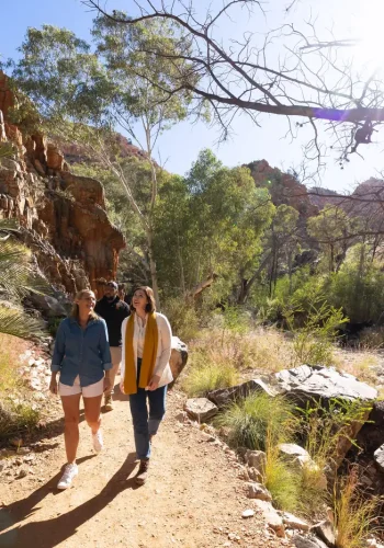 walking the larapinta trail