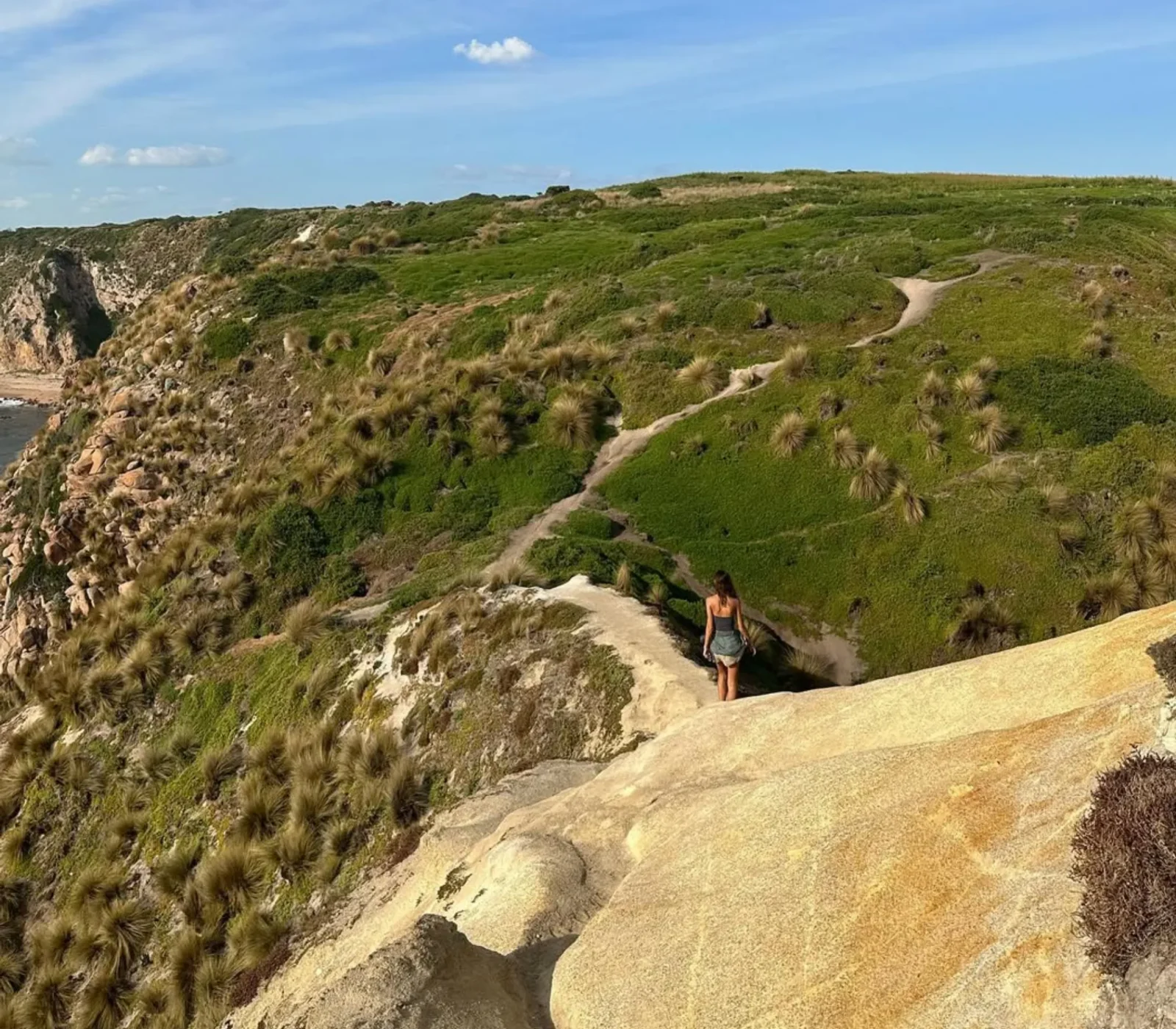 how to get around Phillip Island without a car