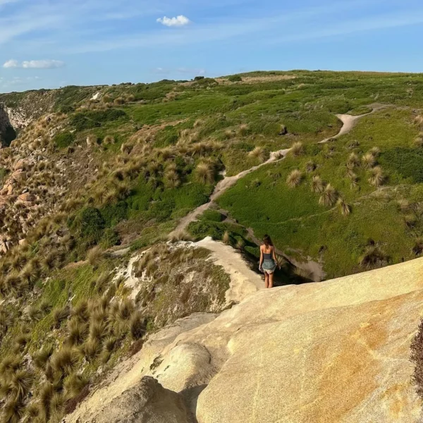 how to get around Phillip Island without a car