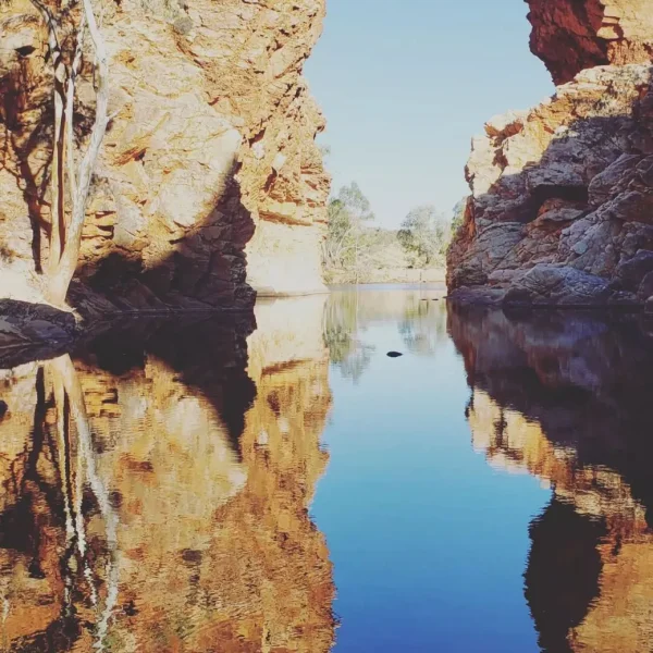 larapinta trail bookings