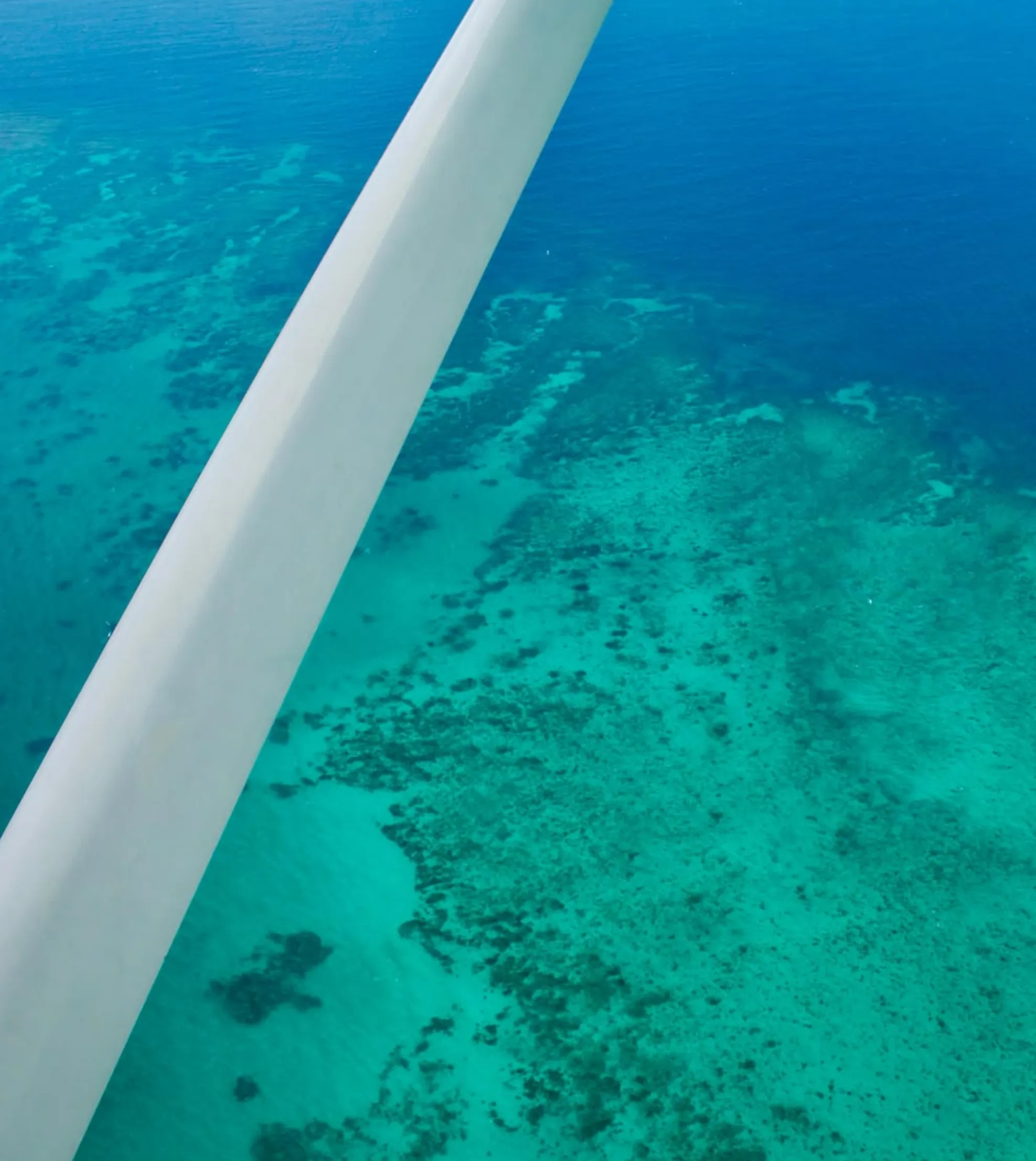 pontoon reef tour vs boat snorkelling tour