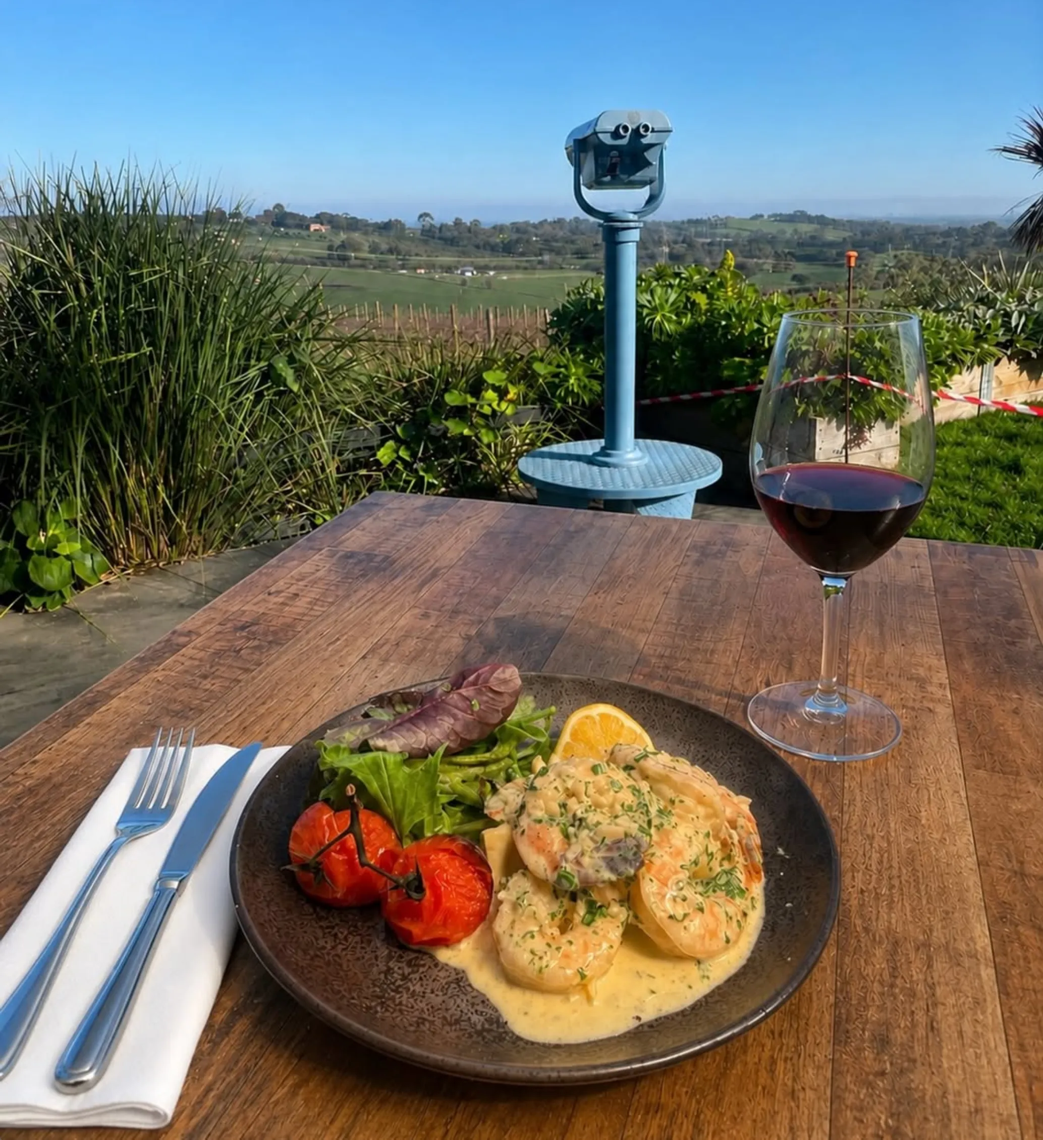 private driver for Yarra Valley wineries